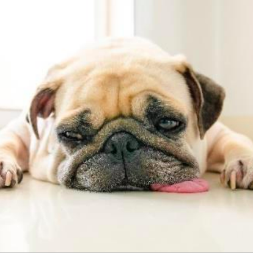 OC Housing Report | Lethargic Luxury