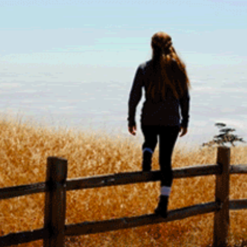 OC Housing Report | Don't Miss Out