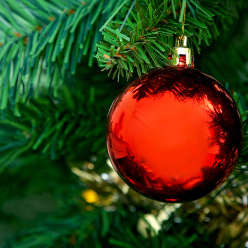 Orange County Calendar of Events - December 2019