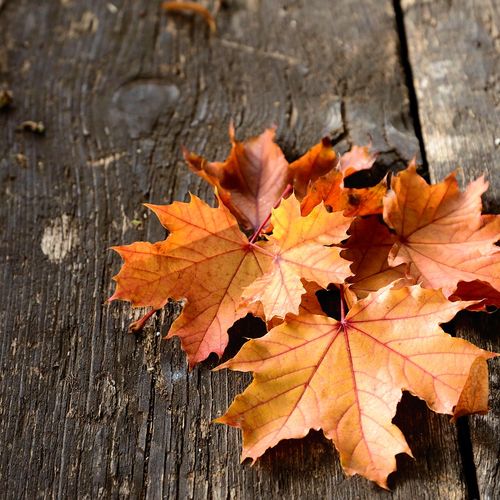 Orange County Housing Report