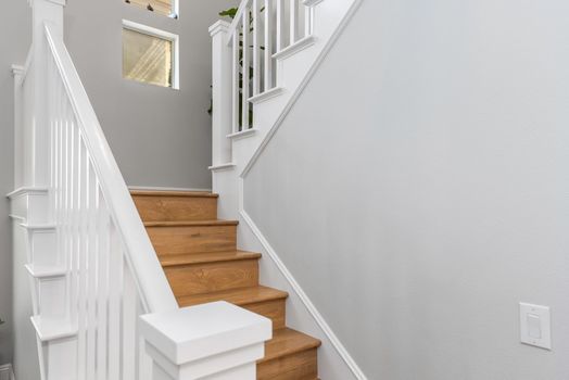 dsc_4995_51443257003_o