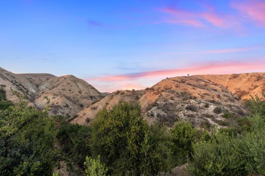 1_10495192_142415_vt-142415-ER-101