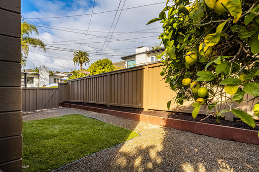 dsc_2098_51786071235_o