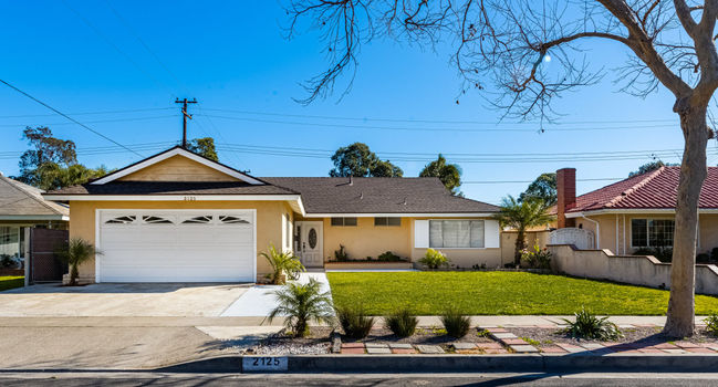 dsc_2419_51864296780_o