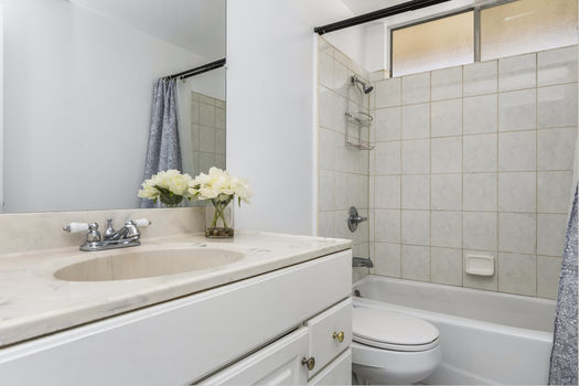 dsc_2480_51864298980_o