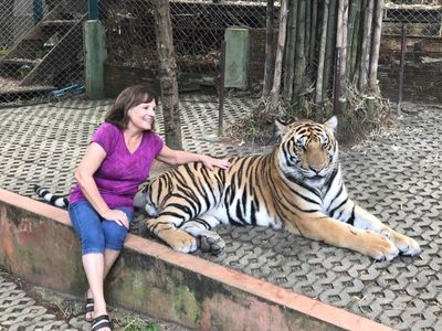 -7937707530392188372