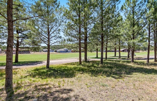 2943 W Castle Pines Rd, Williams-50