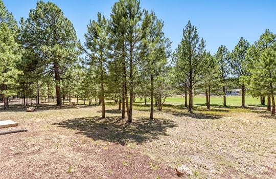 2943 W Castle Pines Rd, Williams-51