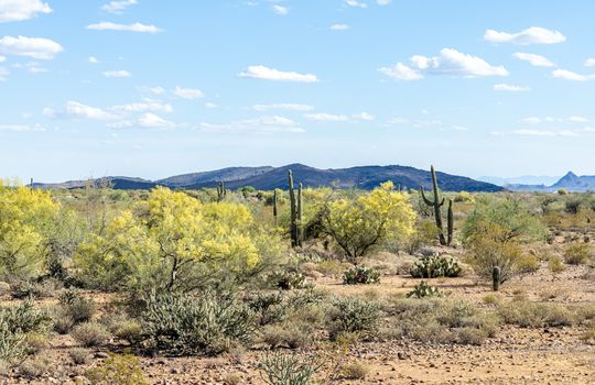 33_desert-view