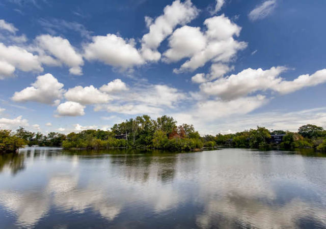 5821 Oakwood Dr Unit B Lisle-small-024-18-Views-666&#215;444-72dpi