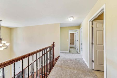 3180 High Pass LN_img (18)