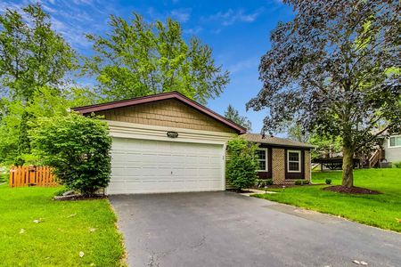 S015 Steeple Run DR_img (5)