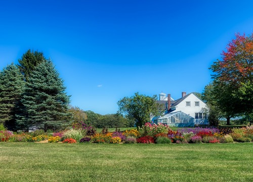 homes for sale cottontown tn