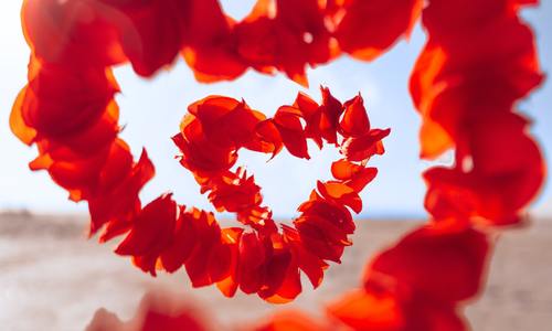 Things to do in San Diego in February …