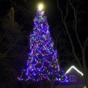 Julian Christmas Tree Lighting