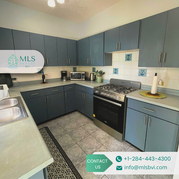 TORTOLA, POCKWOOD POND_10