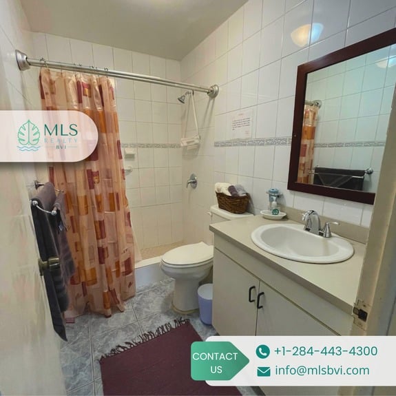 TORTOLA, POCKWOOD POND_12