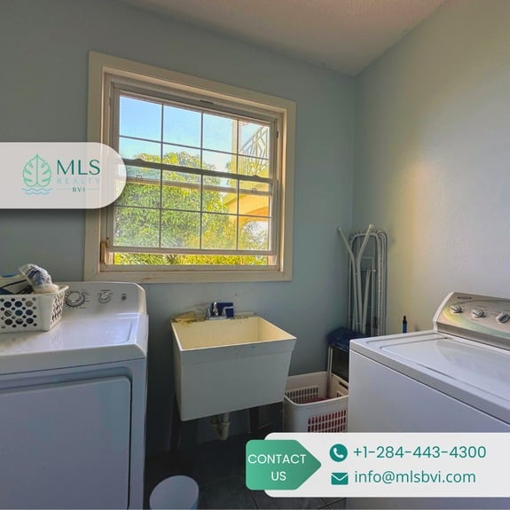 TORTOLA, POCKWOOD POND_7