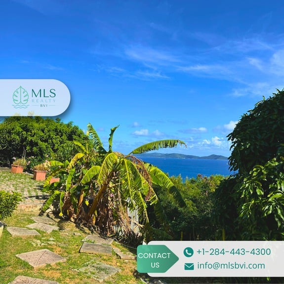 TORTOLA, POCKWOOD POND_8