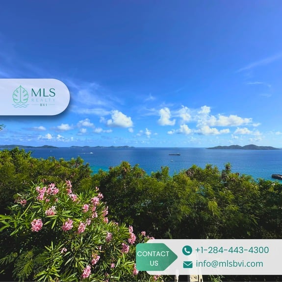 TORTOLA, POCKWOOD POND_9