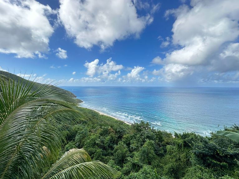 WhatsApp Image 2025-02-25 at 23.01.38_d8ae01ce