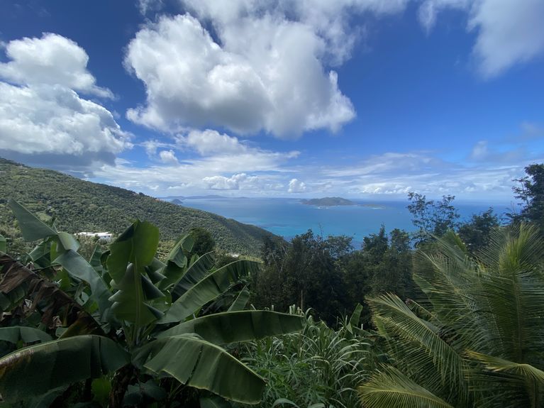 Photo 2022-02-23, 1 07 45 PM