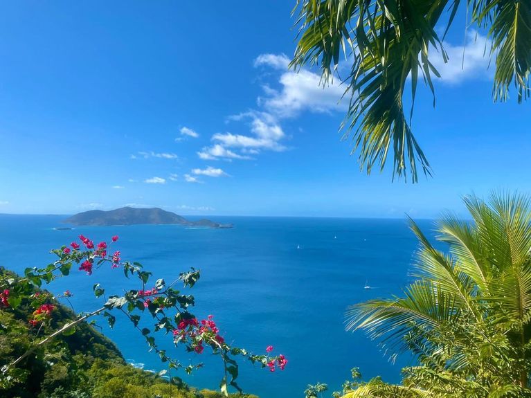 WhatsApp Image 2025-03-07 at 03.29.37_94c61498