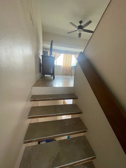 WhatsApp Image 2025-03-18 at 23.53.45_ab34fcee