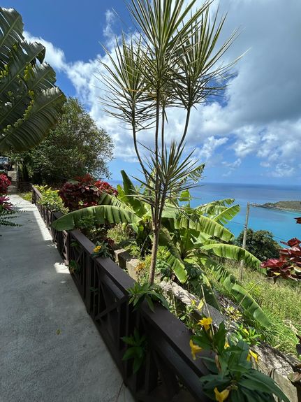 WhatsApp Image 2025-04-11 at 01.56.07_5e304dda