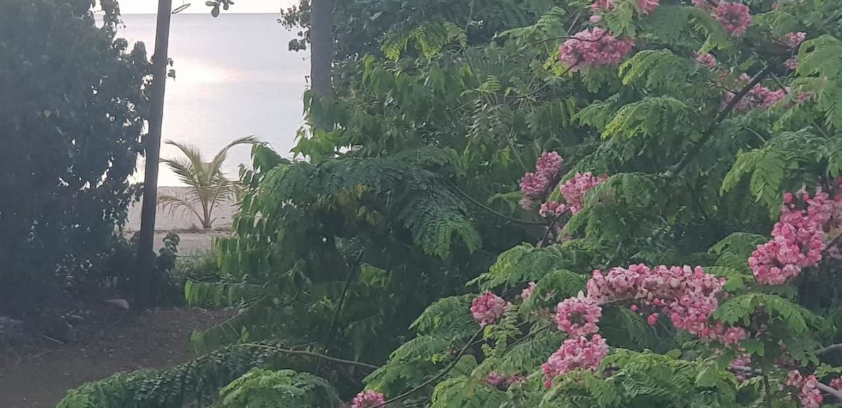 WhatsApp Image 2025-04-12 at 05.48.48_8f85b43f