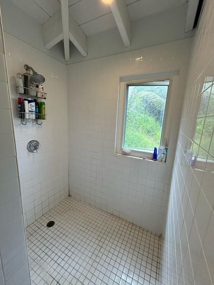 b7c312bc-721b-479d-b942-56175b873a4f