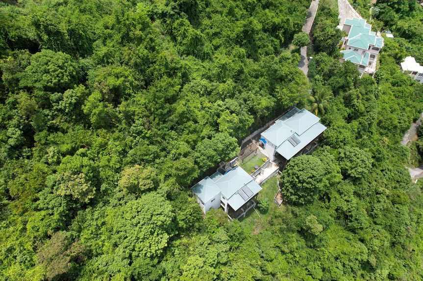 dji_fly_20250606_123118_691_1749255042065_photo