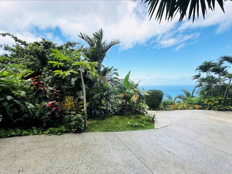 Screenshot 2025-05-27 at 3.00.52 PM