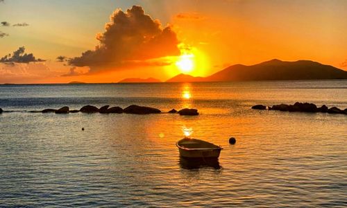 Stories Carried by the Tide: Life in Carrot Bay