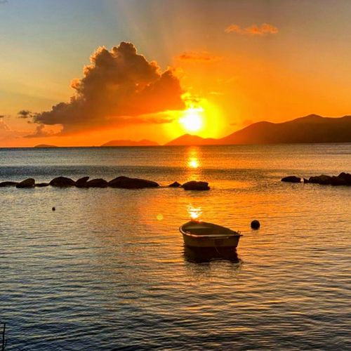 Stories Carried by the Tide: Life in Carrot Bay