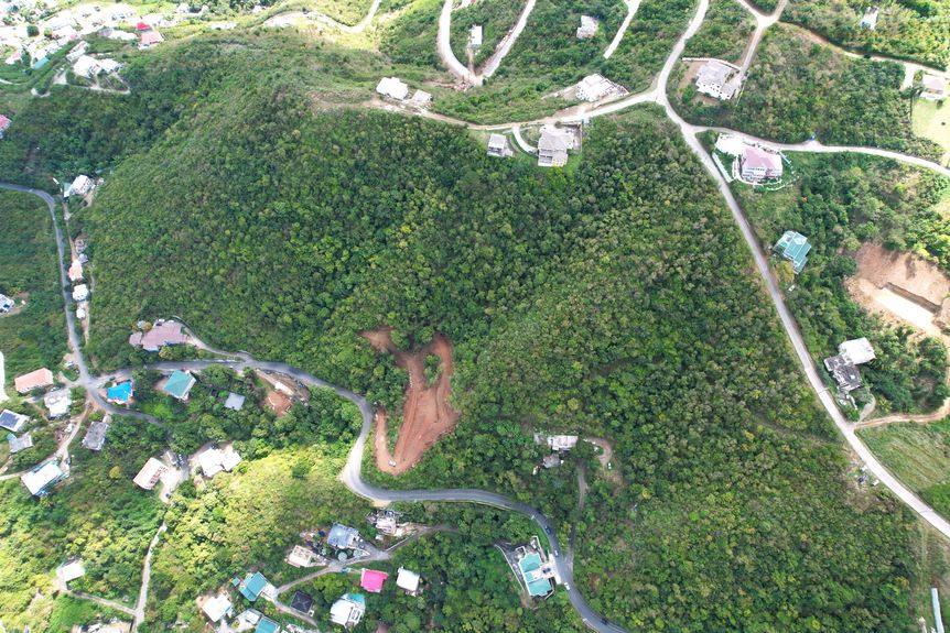 dji_fly_20260214_111358_117_1771335788765_photo