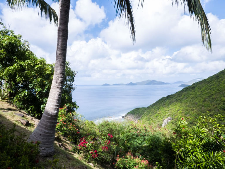 WhatsApp Image 2026-04-21 at 11.46.50 AM