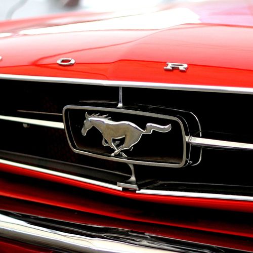 34th Annual Rocky Mountain Mustang Roundup