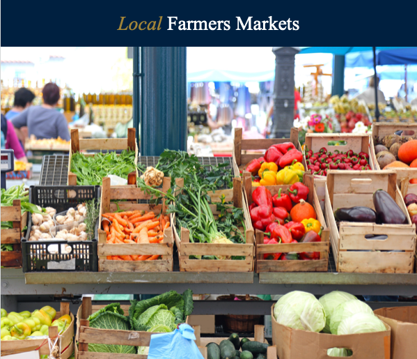 Screenshot 2024-05-01 at 11.22.25 AM