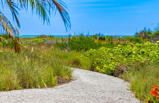 45-web-or-mls-851A8029