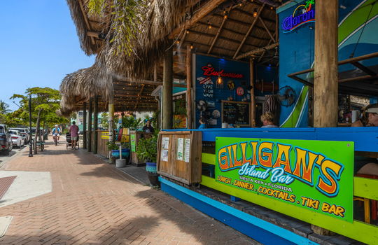 55-web-or-mls-_MG_4238-Edit