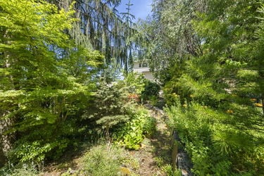 104-web-or-mls-DSC_6817