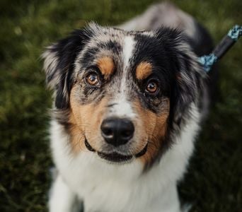 TwiningFamily_11-23-20_ColeyCo-7995