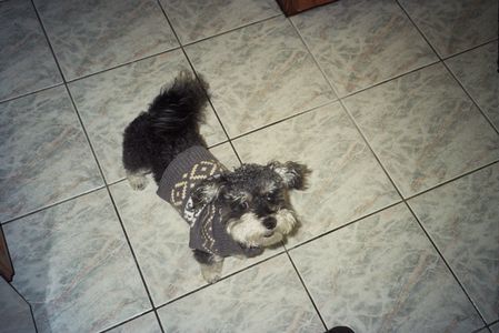 Image-from-iOS-5 (1)