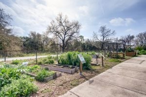 1601 Miriam Avenue Suite 300-large-030-020-Community Gardens-1500×1000-72dpi