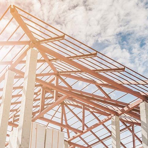 Discovering the Joy of Alpine Forest Trail Riding for Home Buyers with Horses