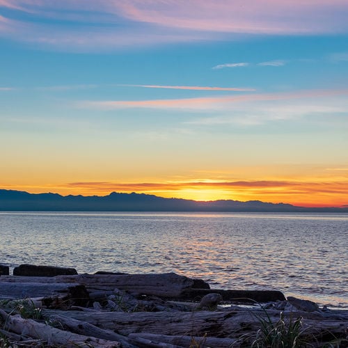 Discover the Pros and Cons to Unlock Your Belfair Living Experience