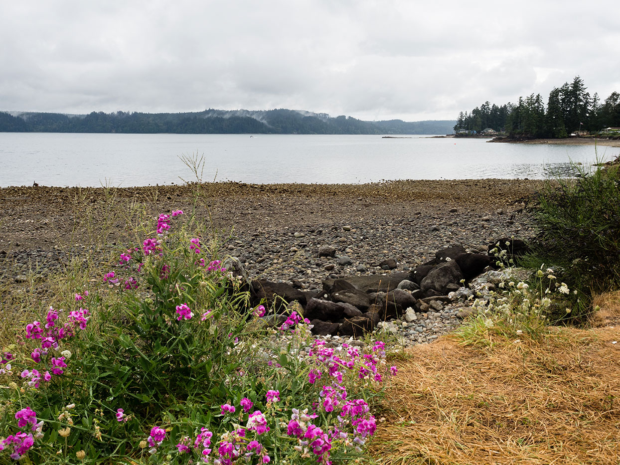 Allyn Daryl Datus Olympic Peninsula Real Estate