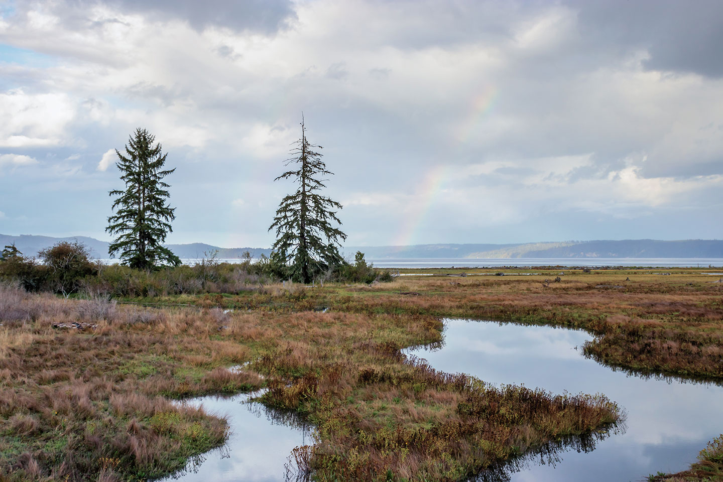 Belfair Daryl Datus Olympic Peninsula Real Estate