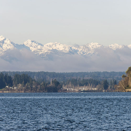 Understanding Sharks and Their Presence in Belfair Hood Canal